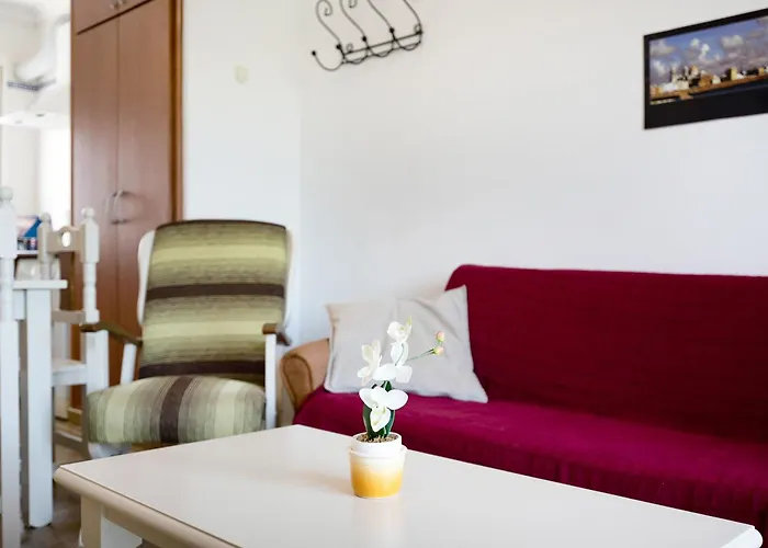 Artico 205 Conil de la Frontera